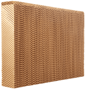 Cellulose pad