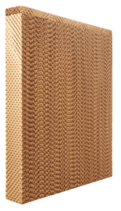 (Figure 1): Cellulose pad