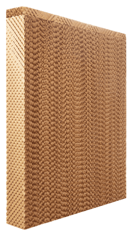 (Figure 1): Cellulose pad