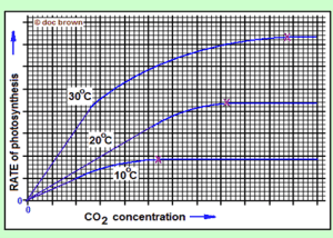 Chart 4 - Relationship Between Temperature, CO2, and Photosynthesis